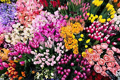 《潜行者2》新预告和截图发布 一窥剧情和氛围